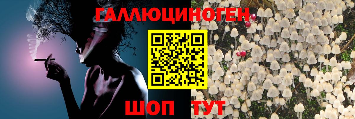 Галлюциногенные грибы Cubensis  Вход с VPN  Ейск  купить наркоту  Галлюциногенные грибы Magic Shrooms 